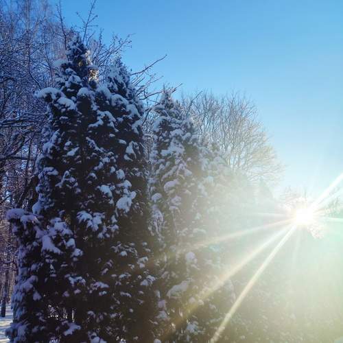 Photo #13255111