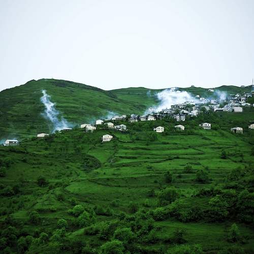 Photo #13255163