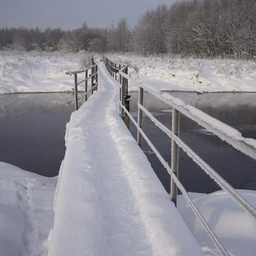 Photo #13255225
