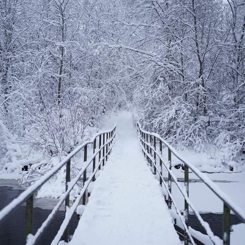 Photo #13255237