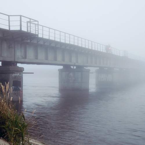 Photo #13255275