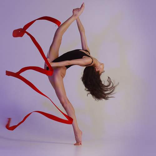 Photo #13255388