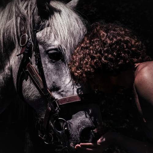 Photo #13255481