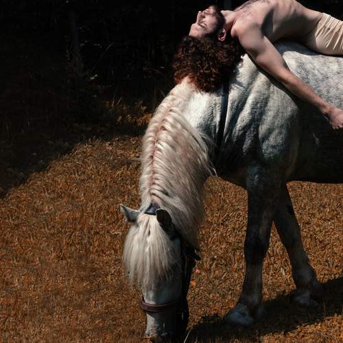 Photo #13255495