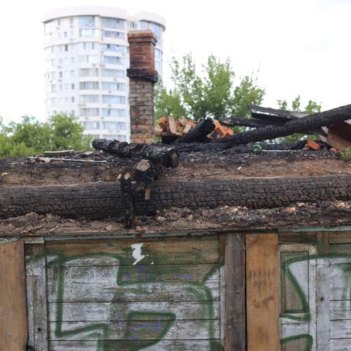 Photo #13255534