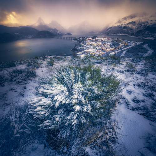 Фотография #13255537