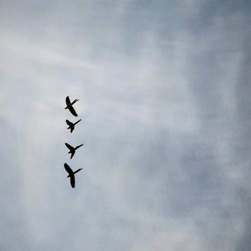 Photo #13255664