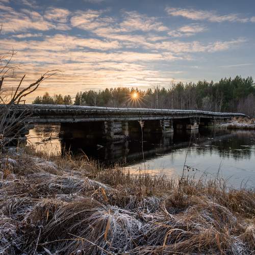 Photo #13255688