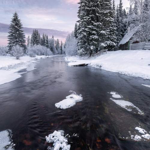 Photo #13255712