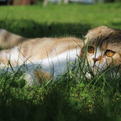 Photo #13255737