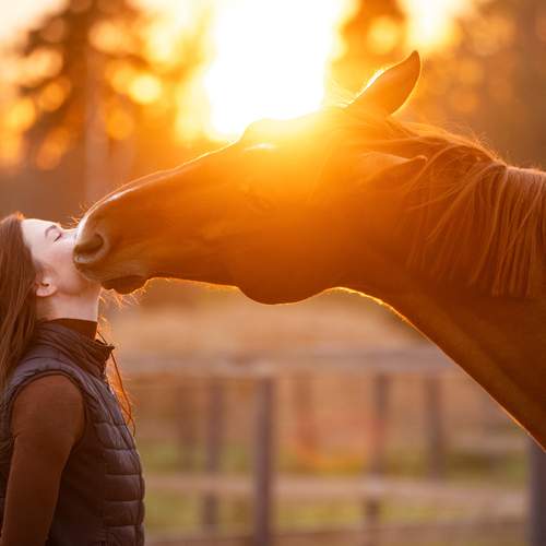 Фотография #13255768