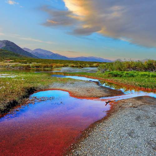 Photo #13255785