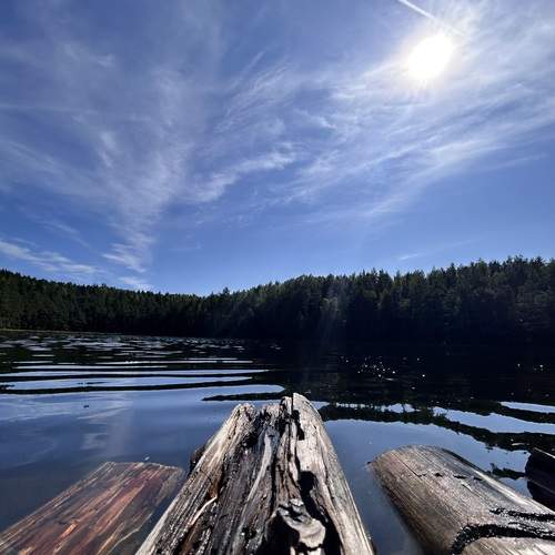 Photo #13255986