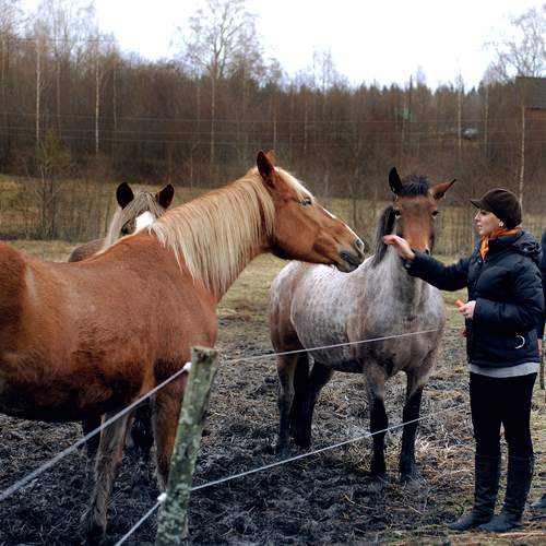 Photo #13256108