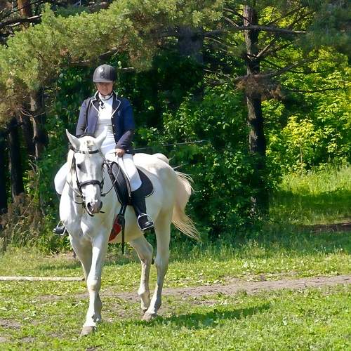 Photo #13256112