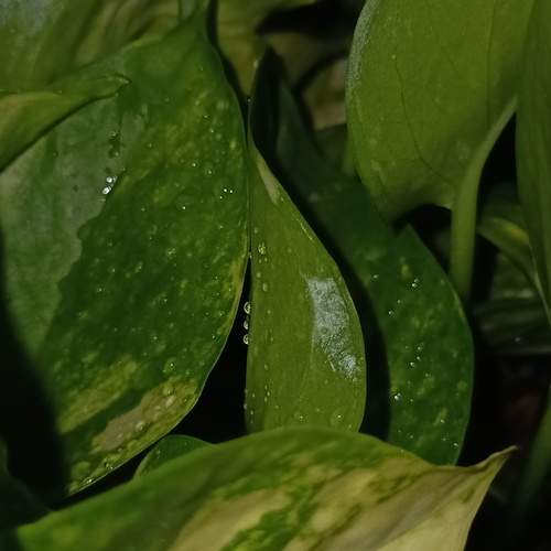 Photo #13256231