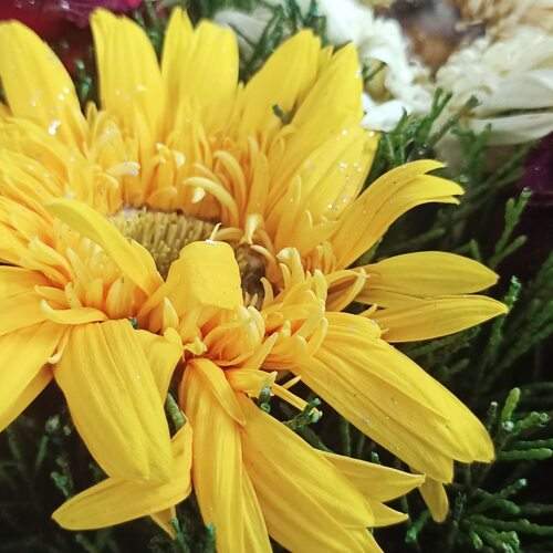 Photo #13256233