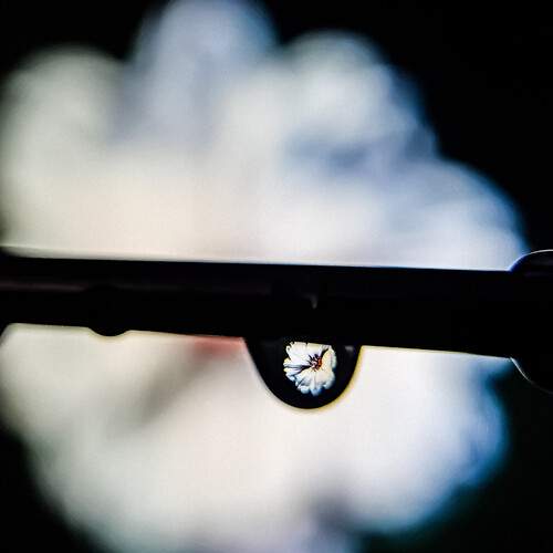 Photo #13256234