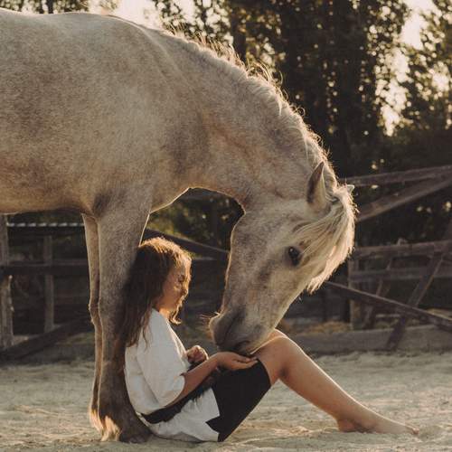 Фотография #13256239