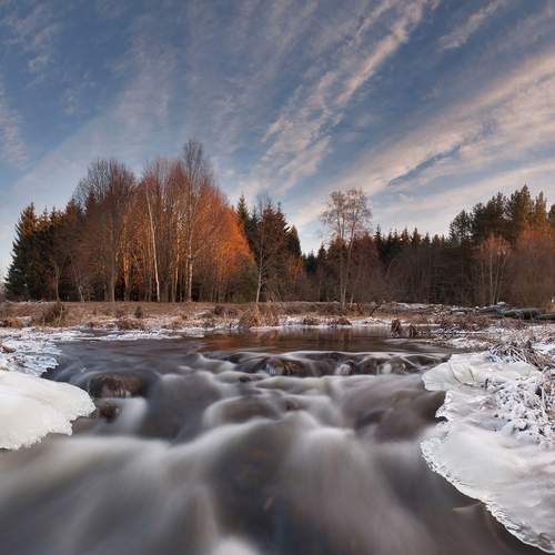Photo #13256299