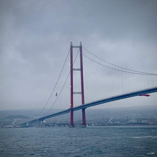 Photo #13256391