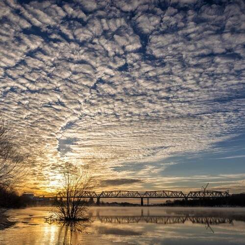 Photo #13256395