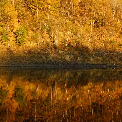 Photo #13256413