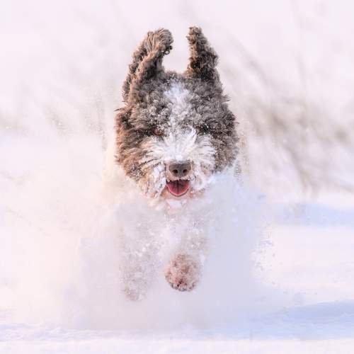 Photo #13256436