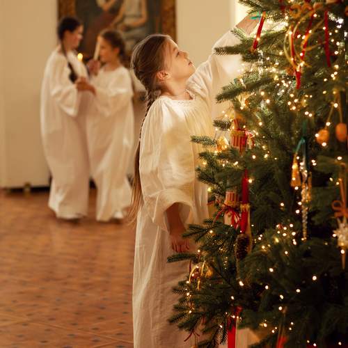 Photo #13256547