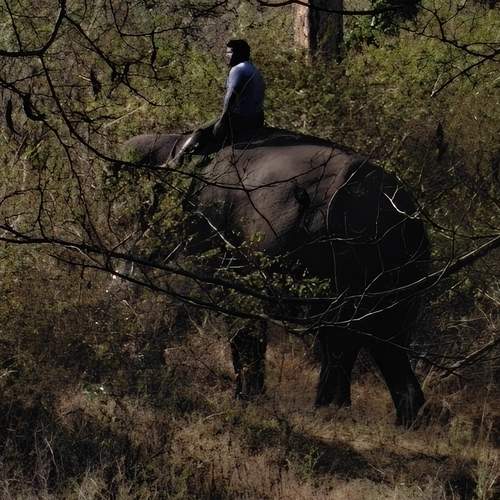 Photo #13256601