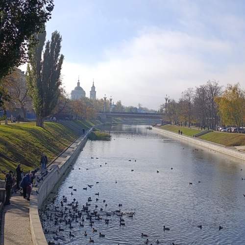 Photo #13256655