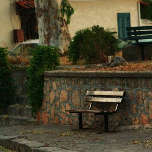 Photo #13256703