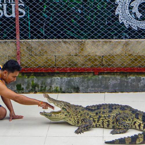 Фотография #13256707