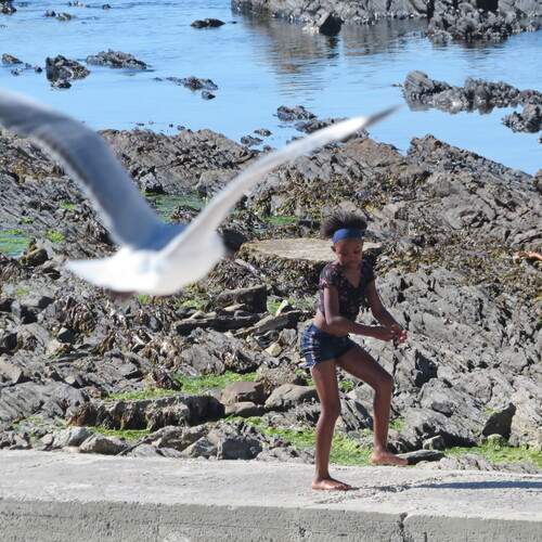 Photo #13256753