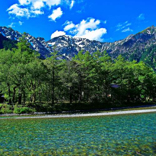 Photo #13256803