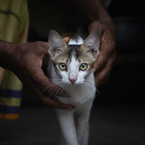 Photo #13256873