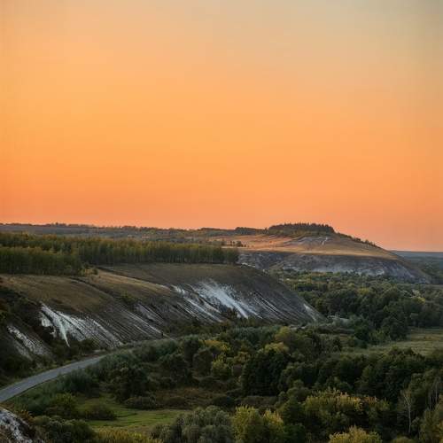Photo #13256921