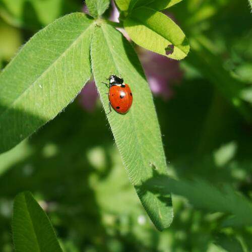 Photo #13256941