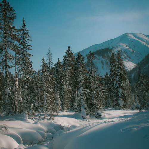Photo #13256956