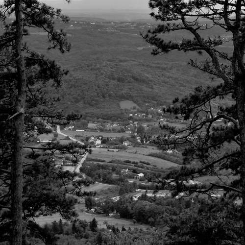 Photo #13256984