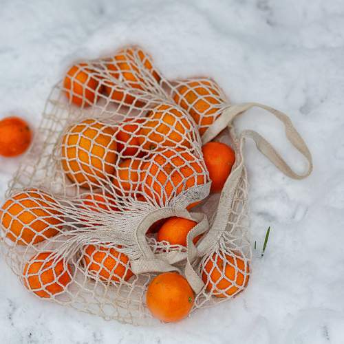 Photo #13257038