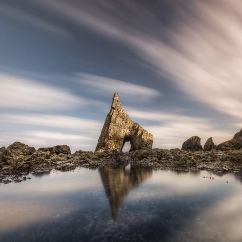 Photo #13257059