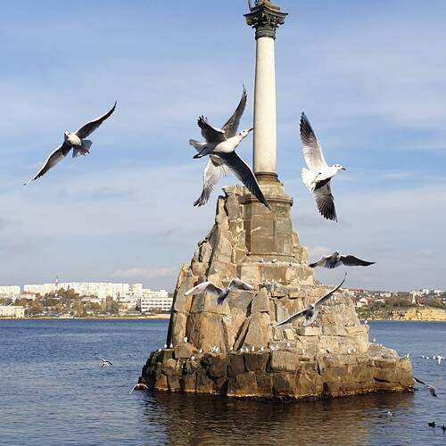 Photo #13257154