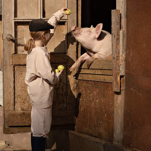 Photo #13257263