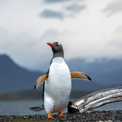 Во всей красе