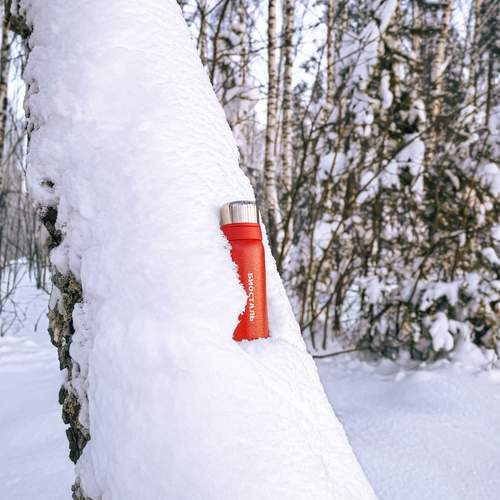 Photo #13257402