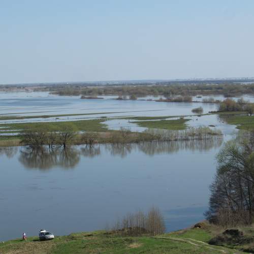Photo #13257454