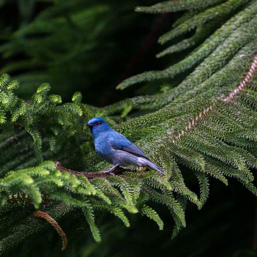 Photo #13257543