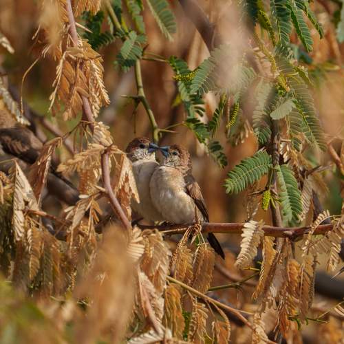 Photo #13257544