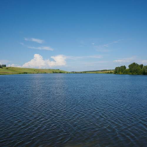 Photo #13257552